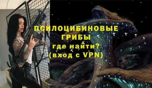 крисы Остров