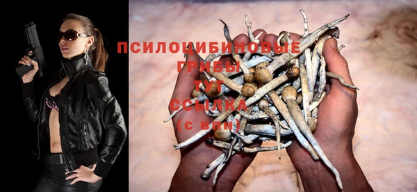 крисы Остров
