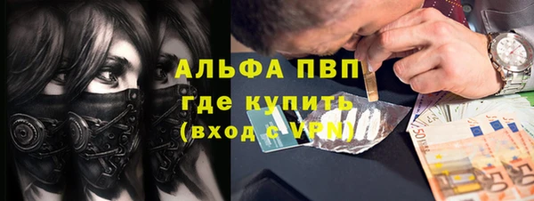 Альфа ПВП Осинники