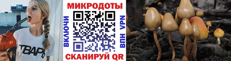 Псилоцибиновые грибы мухоморы  hydra онион  Алапаевск  наркота 
